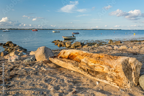 Wallpaper Mural Scenic beach with old tree trunk and boats in the background at the Baltic Sea at sunset Torontodigital.ca