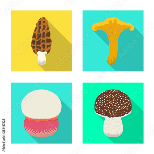 Isolated object of raw and summer icon. Set of raw and ingredient stock symbol for web.