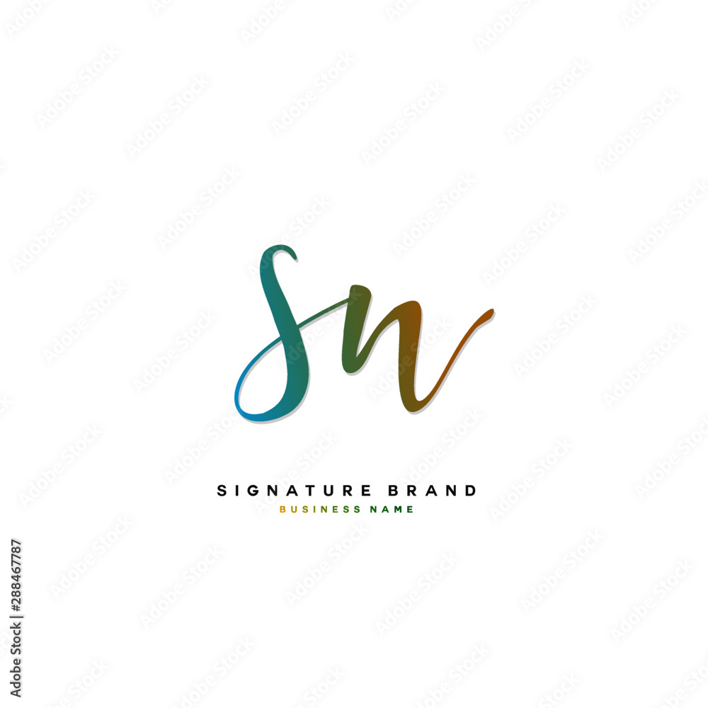 S N SN Initial letter handwriting and  signature logo concept design.