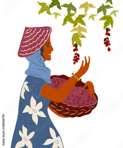 Woman with basket gather coffee beans flat vector illustration isolated.
