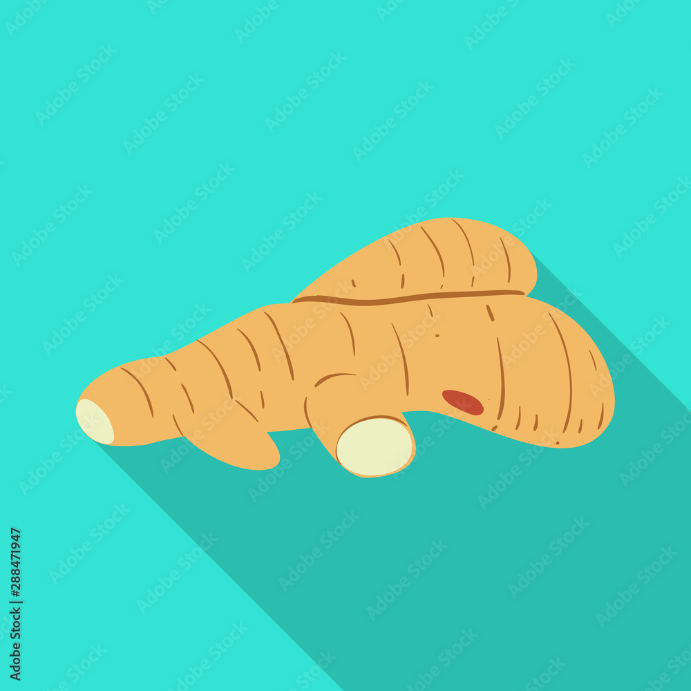 Isolated object of root and ginger sign. Set of root and china stock vector illustration. Isolated object of root and ginger sign. Set of root and china stock vector illustration.