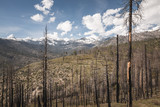 Panorama View over Kings Canyon National Park