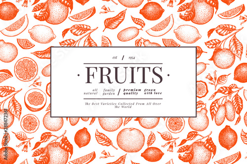 Citrus design template. Hand drawn vector fruit illustration. Engraved style banner. Vintage citrus frame.