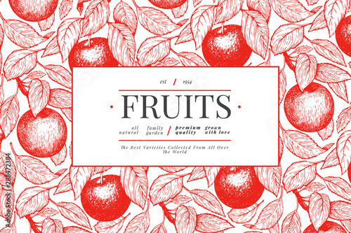 Apple branch design template. Hand drawn vector garden fruit illustration. Engraved style fruit frame. Retro botanical banner.