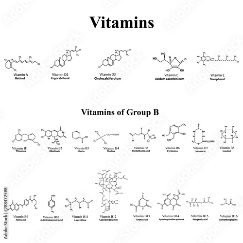 Water soluble. molecular formulas of vitamins. Infographics. Vector illustration on an isolated background.