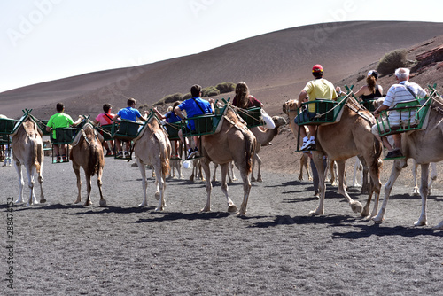 Tourists enjoy a camel ride at Timanfaya National Park  Lanzarote  Canary Islands