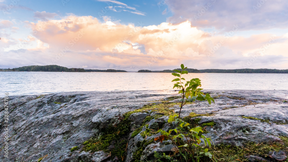 Φωτογραφία Morning landscape view to the sea from Ruissalo National Park, Turku Finland