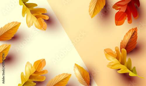 Autumn Background Composition with Leaves