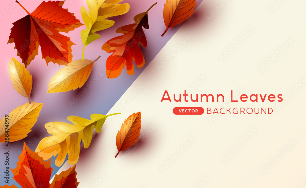 Autumn seasonal background frame with falling autumn leaves and room for text. Vector illustration - obrazy, fototapety, plakaty 