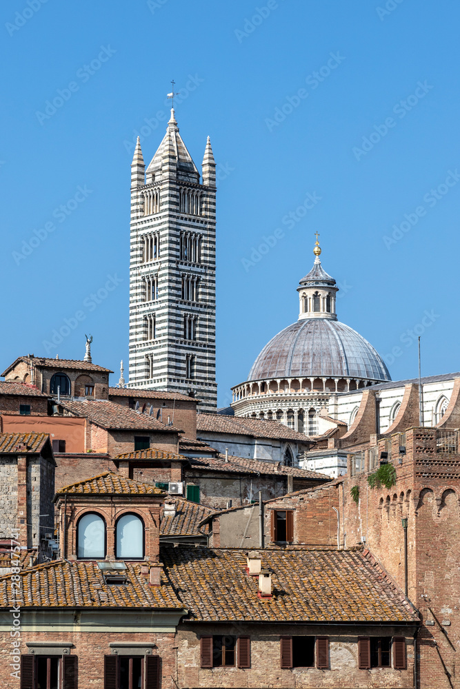 the bell tower and the dome of the cathedral of Siena