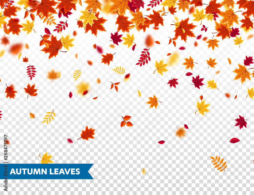 Autumn falling leaves. Nature background with red, orange, yellow foliage. Flying leaf. Season sale. Vector illustration.
