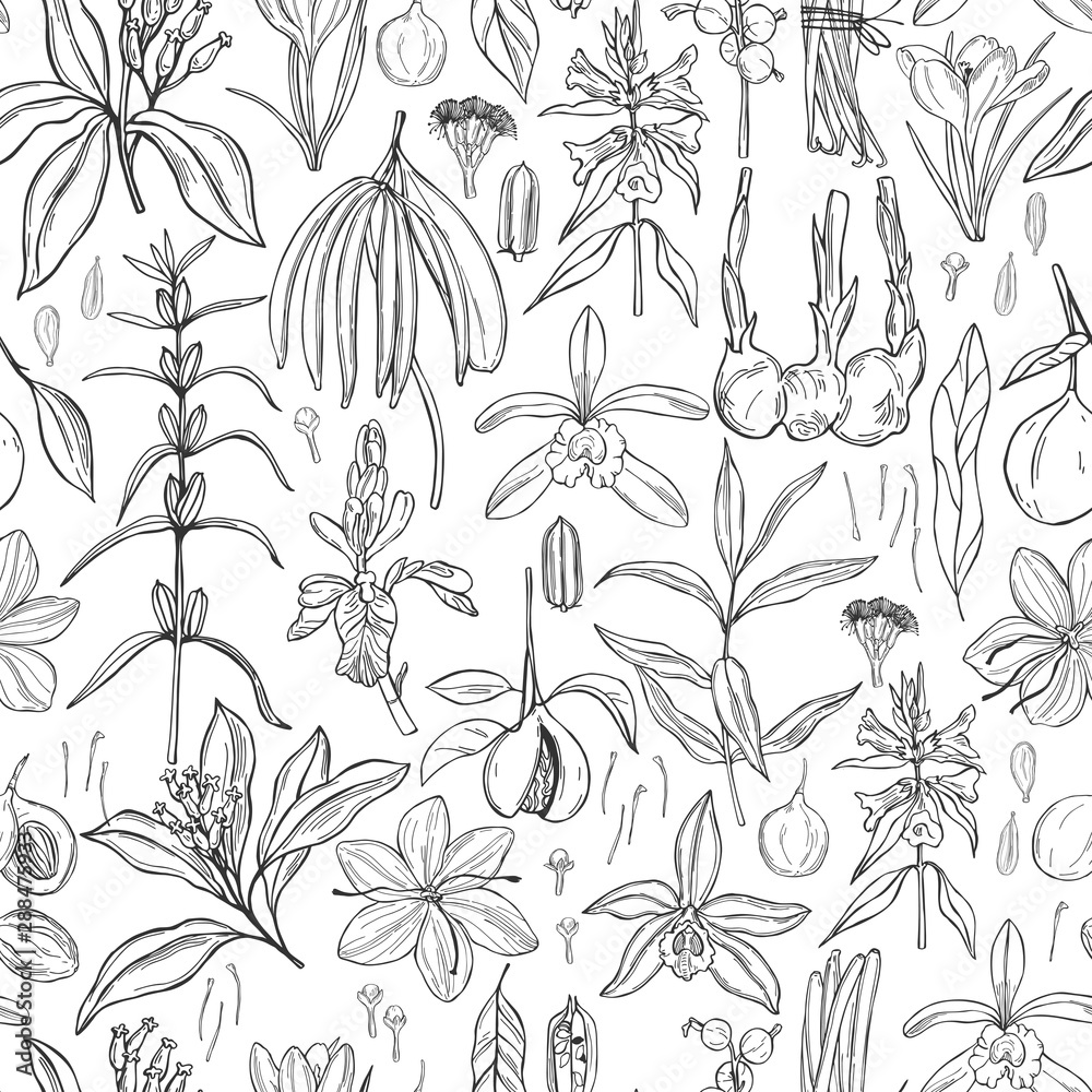 Fototapeta premium Spices for dessert and baking. Vector seamless pattern. Hand drawn sketch illustration