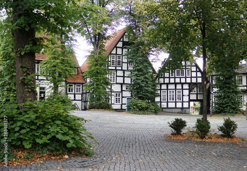 old house near the church marketplace Halle Westfalen,house in halle westfalen, tree, home, architecture, building, garden, street, trees, green, landscape, grass, village, road, nature, autumn, park photo