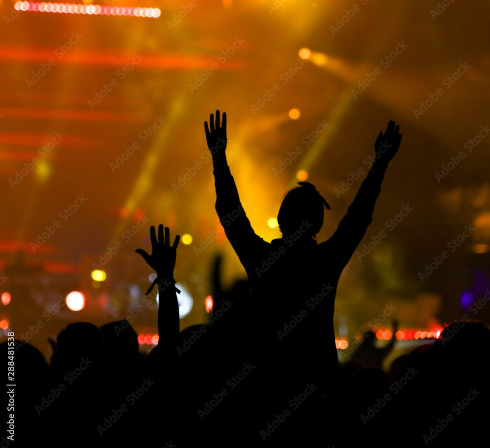 Silhouettes of people at a rock concert as background Silhouettes of people at a rock concert as background