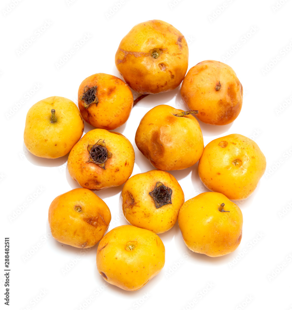 Yellow hawthorn isolated on a white background Yellow hawthorn isolated on a white background