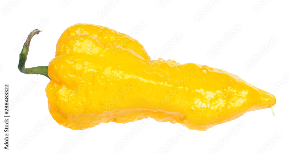 Fresh yellow chili pepper (Capsicum chinense) close-up isolated on white background Fresh yellow chili pepper (Capsicum chinense) close-up isolated on white background