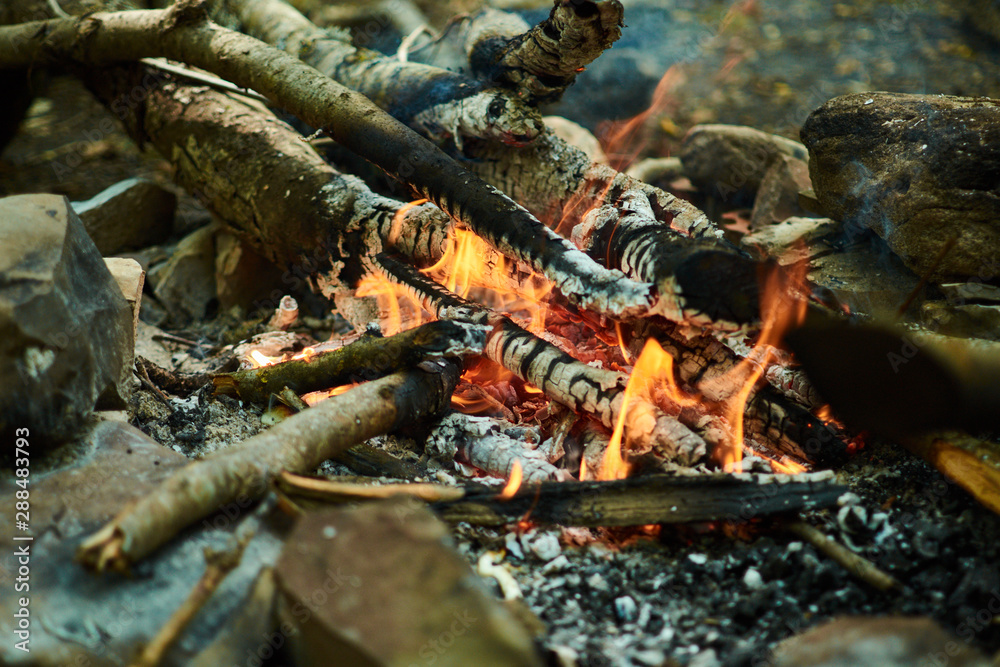 Small bonfire in forest, closeup. Small bonfire in forest, closeup.