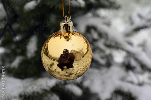 Christmas ball on the background of snow and a fir tree with the reflection of the photographer in it.