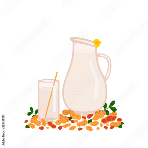 Peanut milk in a glass and jug on a white background. Walnut shell. Vector illustration in freehand drawn style.