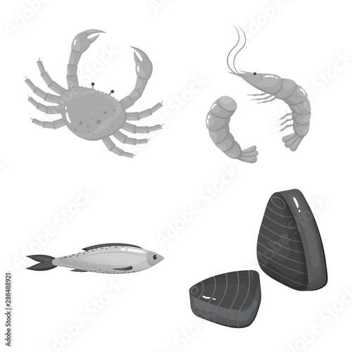 Isolated object of seafood and healthy sign. Set of seafood and ocean vector icon for stock.