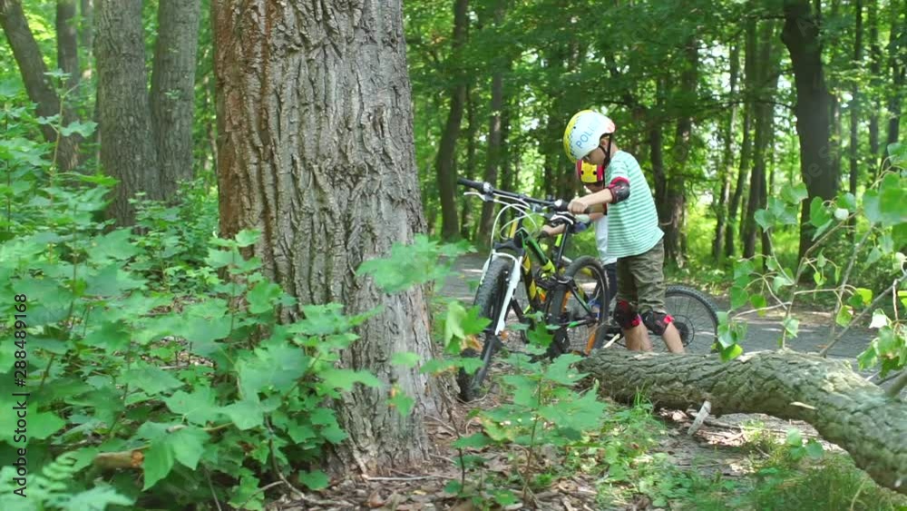 two guys carry bikes through a fallen tree two guys carry bikes through a fallen tree