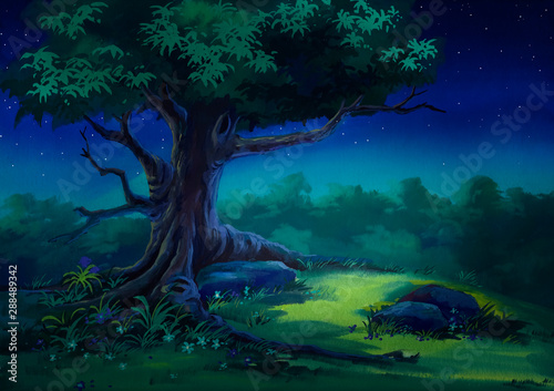 Fototapeta Naklejka Na Ścianę i Meble -  Night nature landscape with starry sky