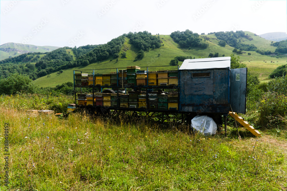 A lot of hives are standing on a car in the caucasus landscape