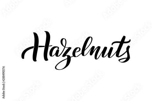 Inspirational handwritten brush lettering . Vector calligraphy illustration