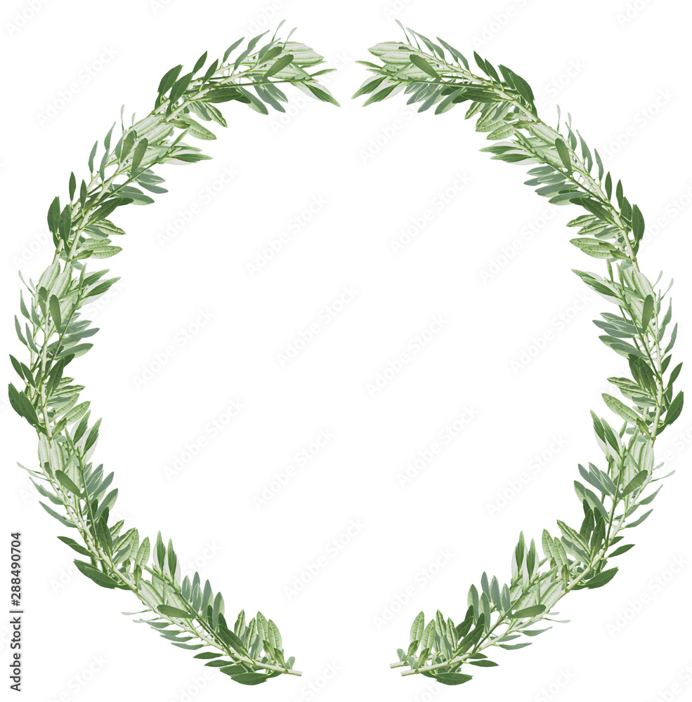 frame of green leaves, olive crown 