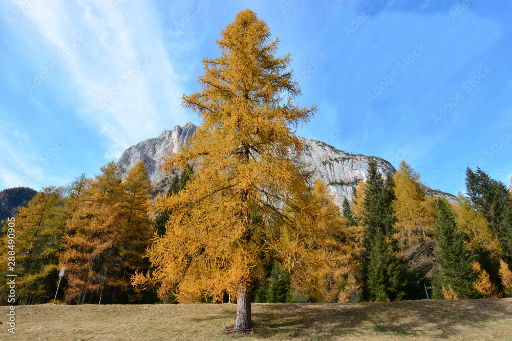 Autunno sotto il ghiacciaio della Marmolada