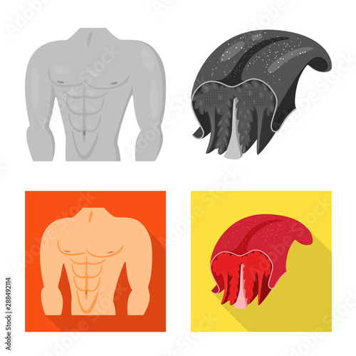 Vector illustration of fiber and muscular logo. Collection of fiber and body stock vector illustration.