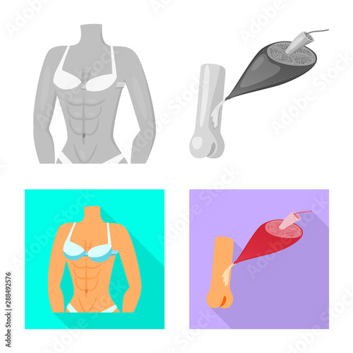 Vector illustration of fiber and muscular sign. Collection of fiber and body vector icon for stock.