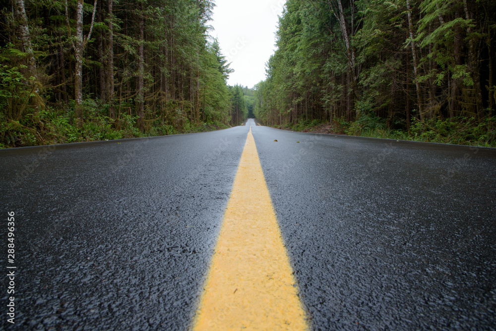 Bright yellow line on wet road through forest