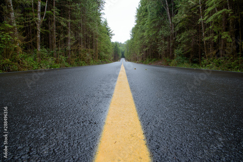 Bright yellow line on wet road through forest