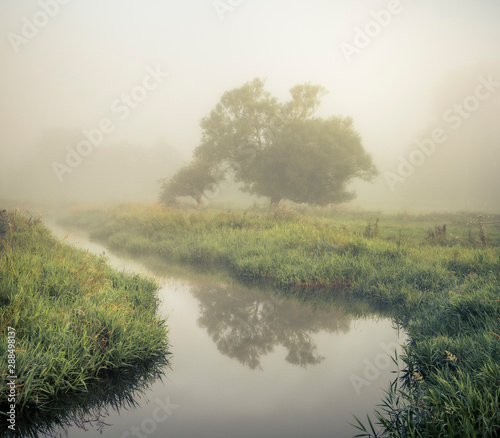 Wensum Valley Mist photo