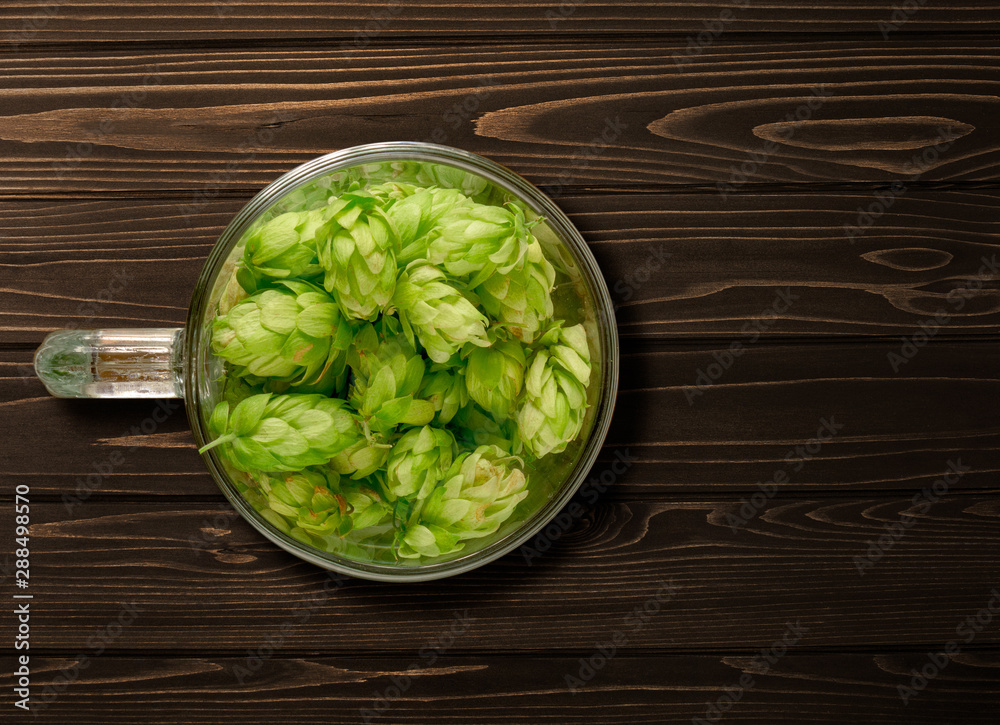Beer glass mug filled with green hop cones. Concept of brewing process. Traditional craft ingredient for brewery. Top view with dark copy space Beer glass mug filled with green hop cones. Concept of brewing process. Traditional craft ingredient for brewery. Top view with dark copy space
