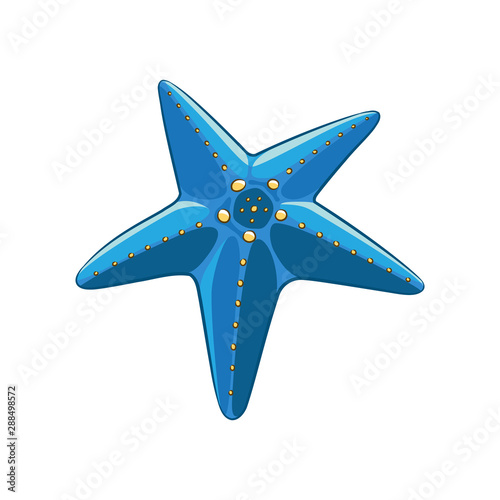 Colorful Cartoon Blue Starfish