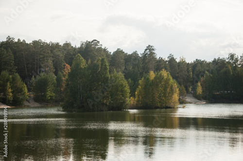 Blue water in a forest lake with pine trees