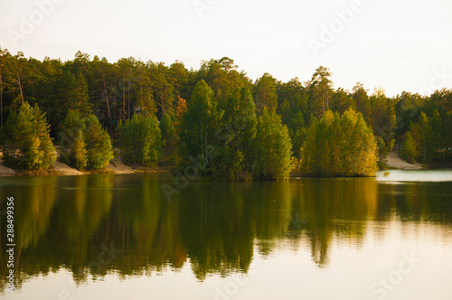 Fototapeta Naklejka Na Ścianę i Meble -  Blue water in a forest lake with pine trees