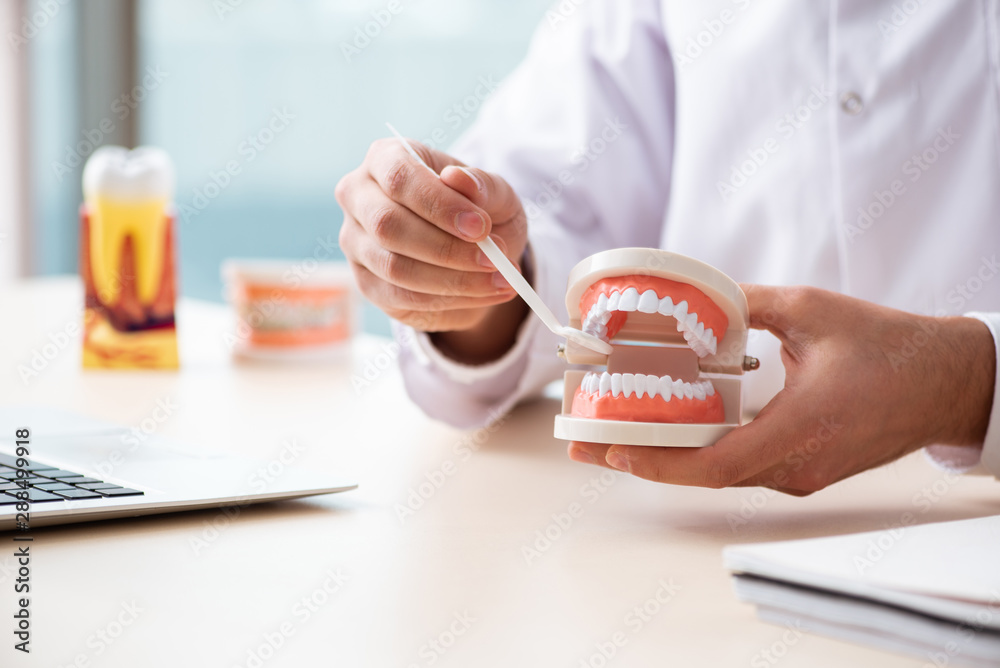 Fototapeta premium Male doctor stomatologist working in the clinic