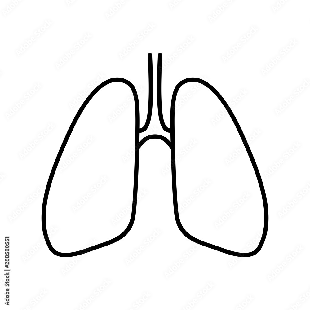 lungs linear icon, isolated pictogram, human internal organ, symbol for human viscera lungs linear icon, isolated pictogram, human internal organ, symbol for human viscera