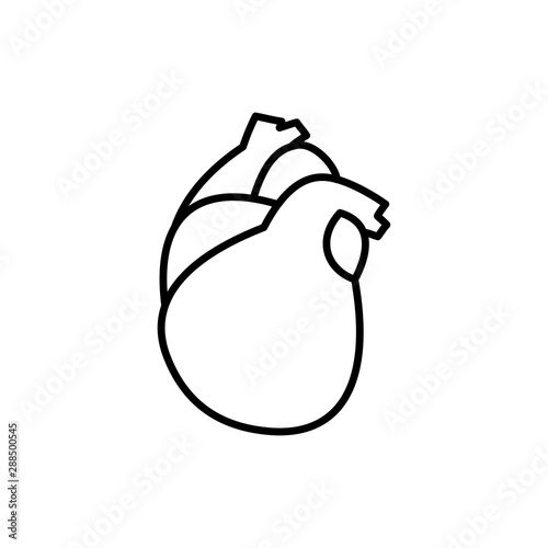 heart linear icon, isolated pictogram, human internal organ, symbol for human viscera