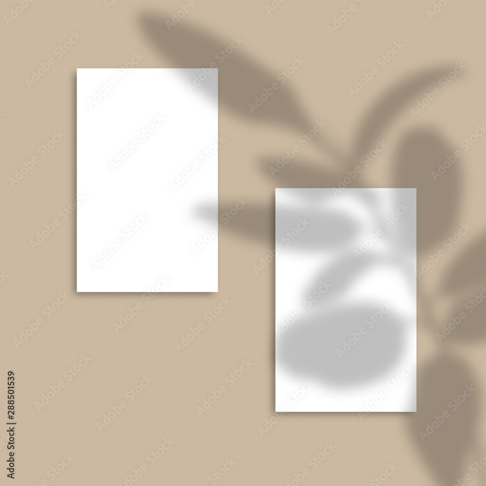 Shadow Overlay Plant Vector Mockup Vertical business Card. Vector Realistic shadows overlays leaf. Template Flyer, Card, Poster, blank, social media post, logo in minimal trendy style.