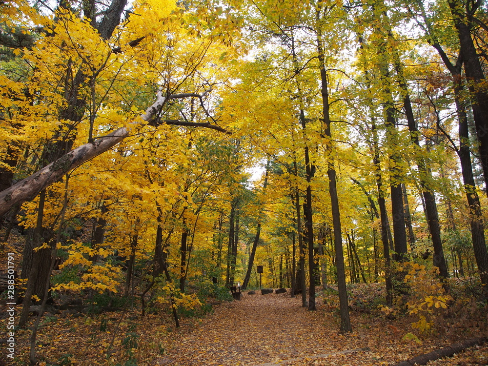 Obraz premium マディソンのデビルズレイク