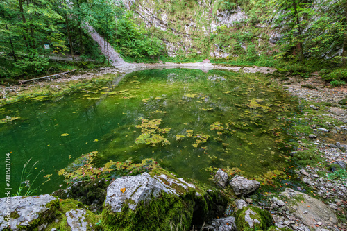 View of the green Wild lake (Divje jezero) near the city of Idrija on a summer day, Slovenia photo