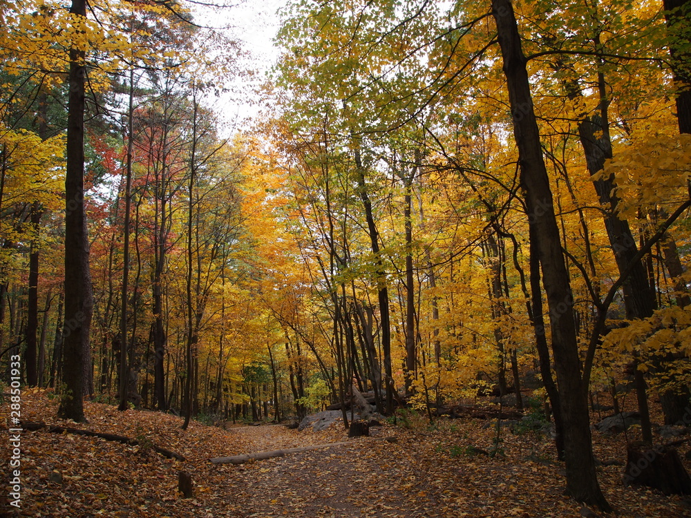 Fototapeta premium マディソンのデビルズレイク