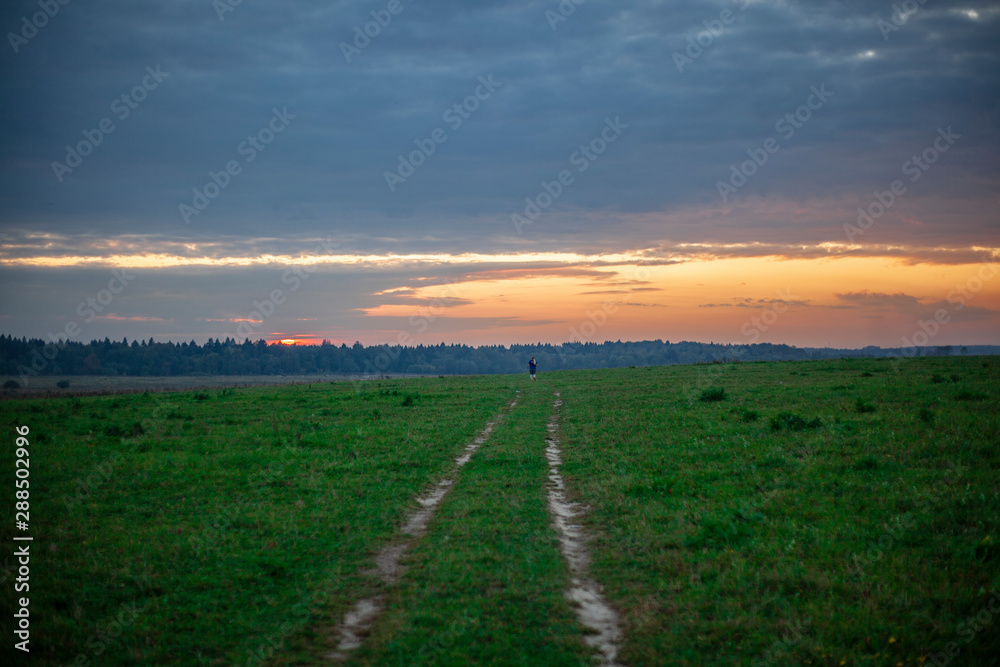 Sunset in the field. Field with the road. Beautiful natural landscape. Summer evening background.