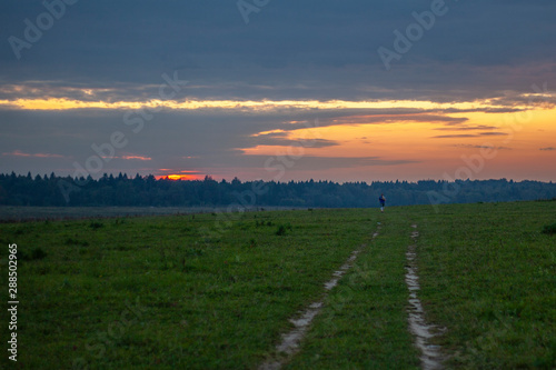 Sunset in the field. Field with the road. Beautiful natural landscape. Summer evening background. © Олег Копьёв