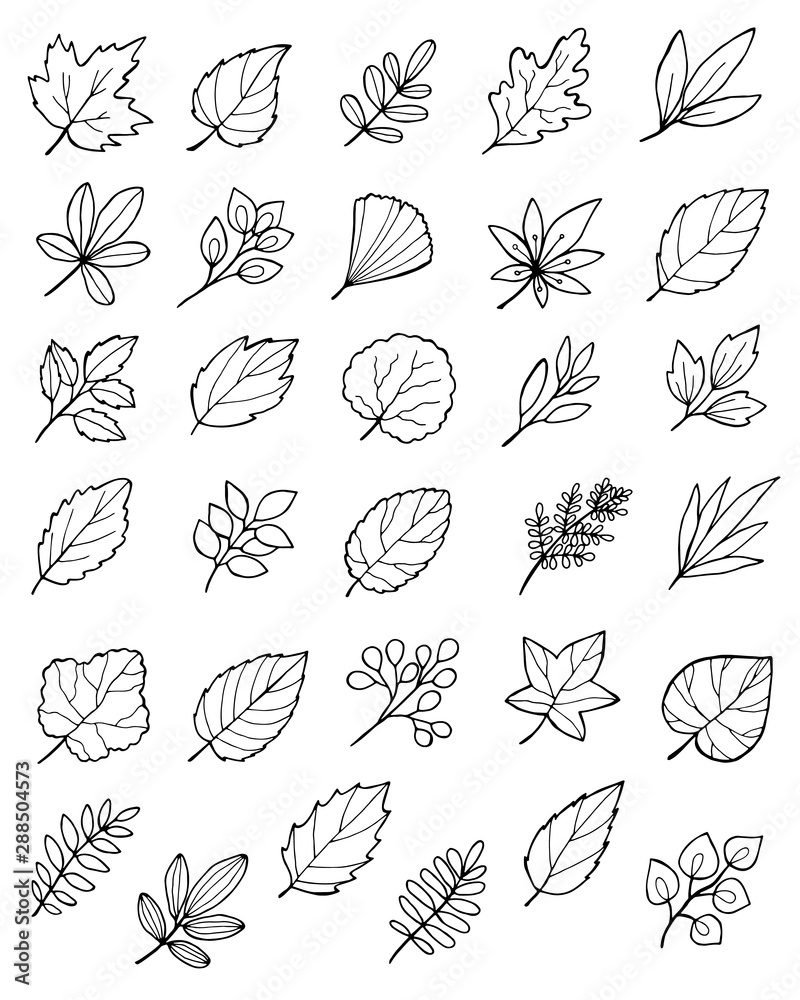 large set of hand drawn doodle autumn leaves large set of hand drawn doodle autumn leaves