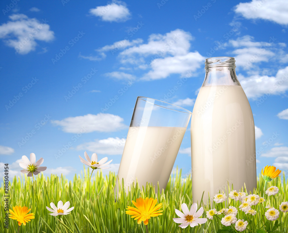 glass of milk and bottle in grass glass of milk and bottle in grass